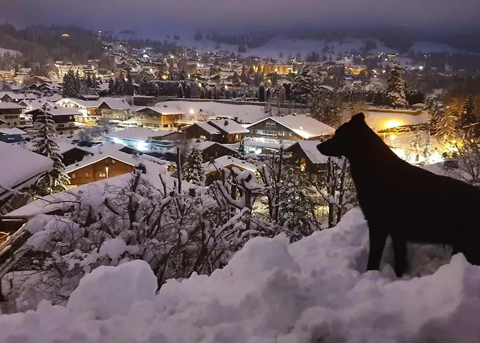 Chalet Sumptuous With Breathtaking Mountain Views