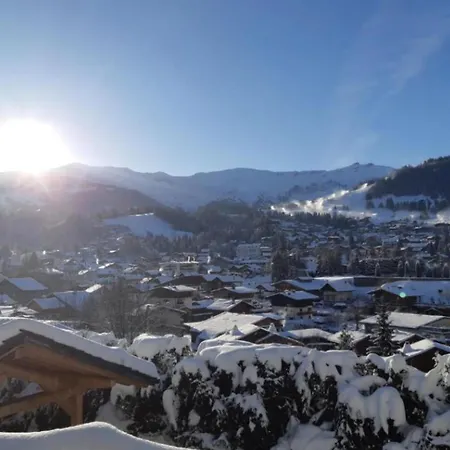 T7 With Garden On The Snow Front Chalet Megeve