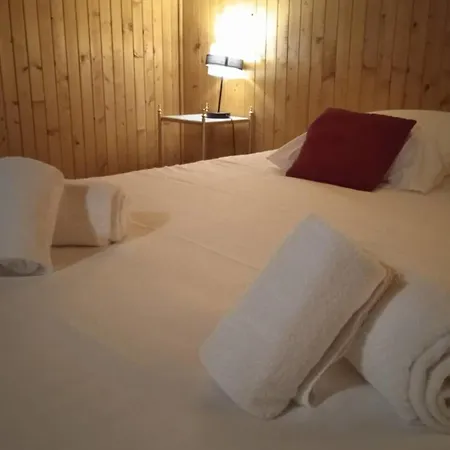 T7 With Garden On The Snow Front Megeve