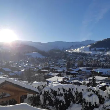 Chalet Sumptuous With Breathtaking Mountain Views *